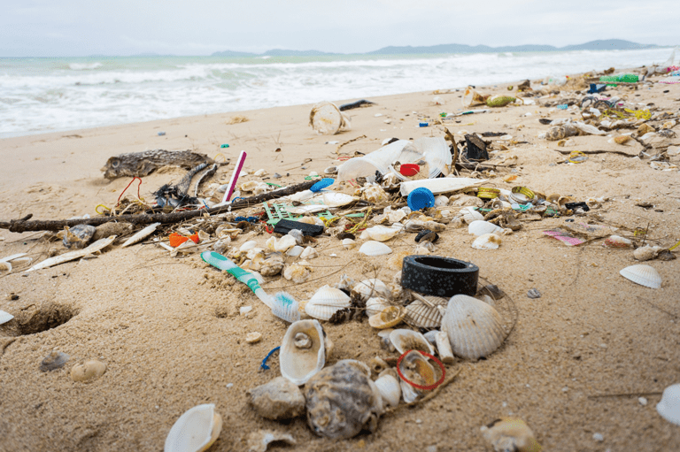 海に散乱するゴミ